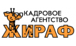 Консультационное кадровое агентство Жираф
